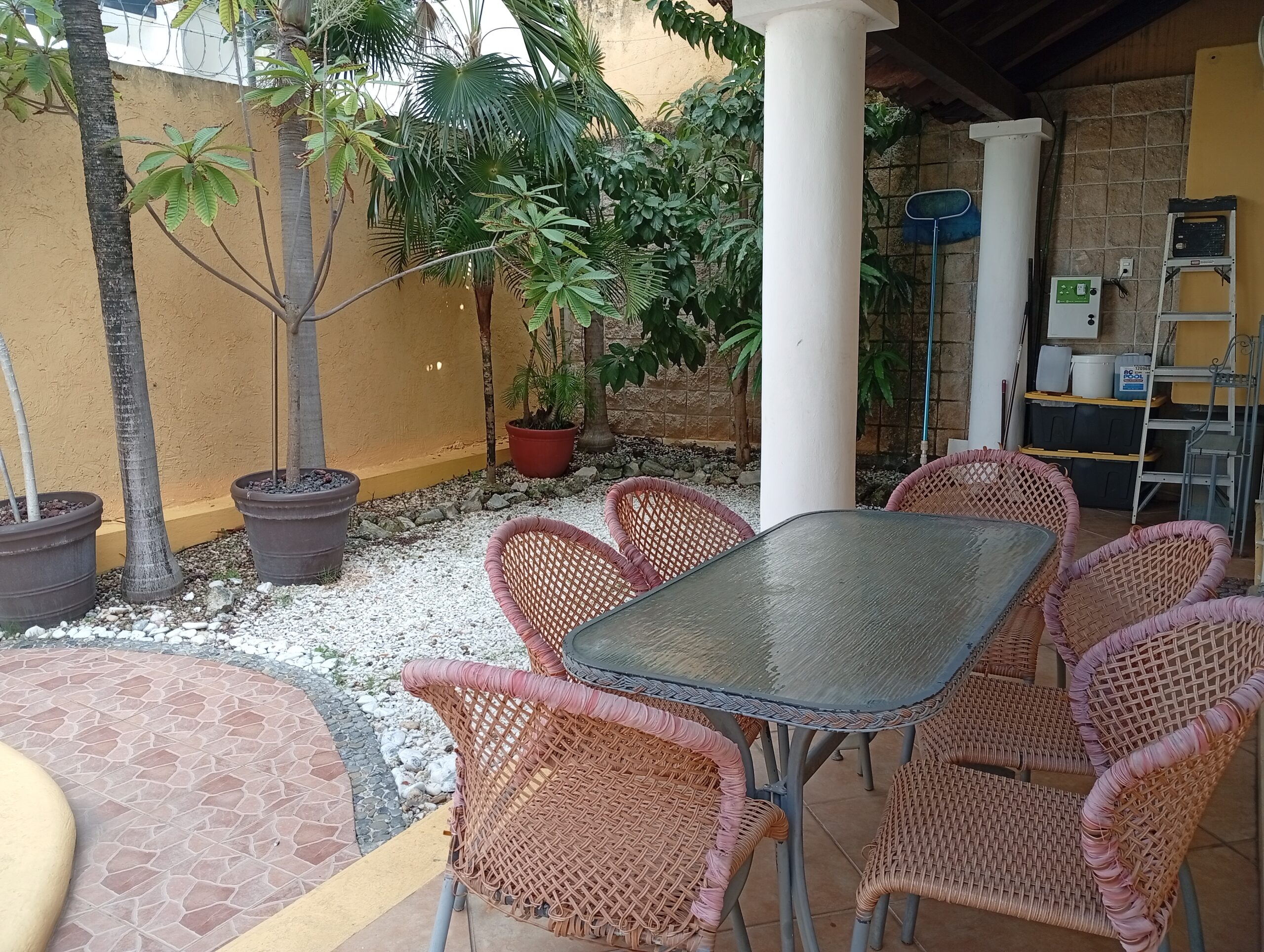 Copia de IMG_20260123_160740