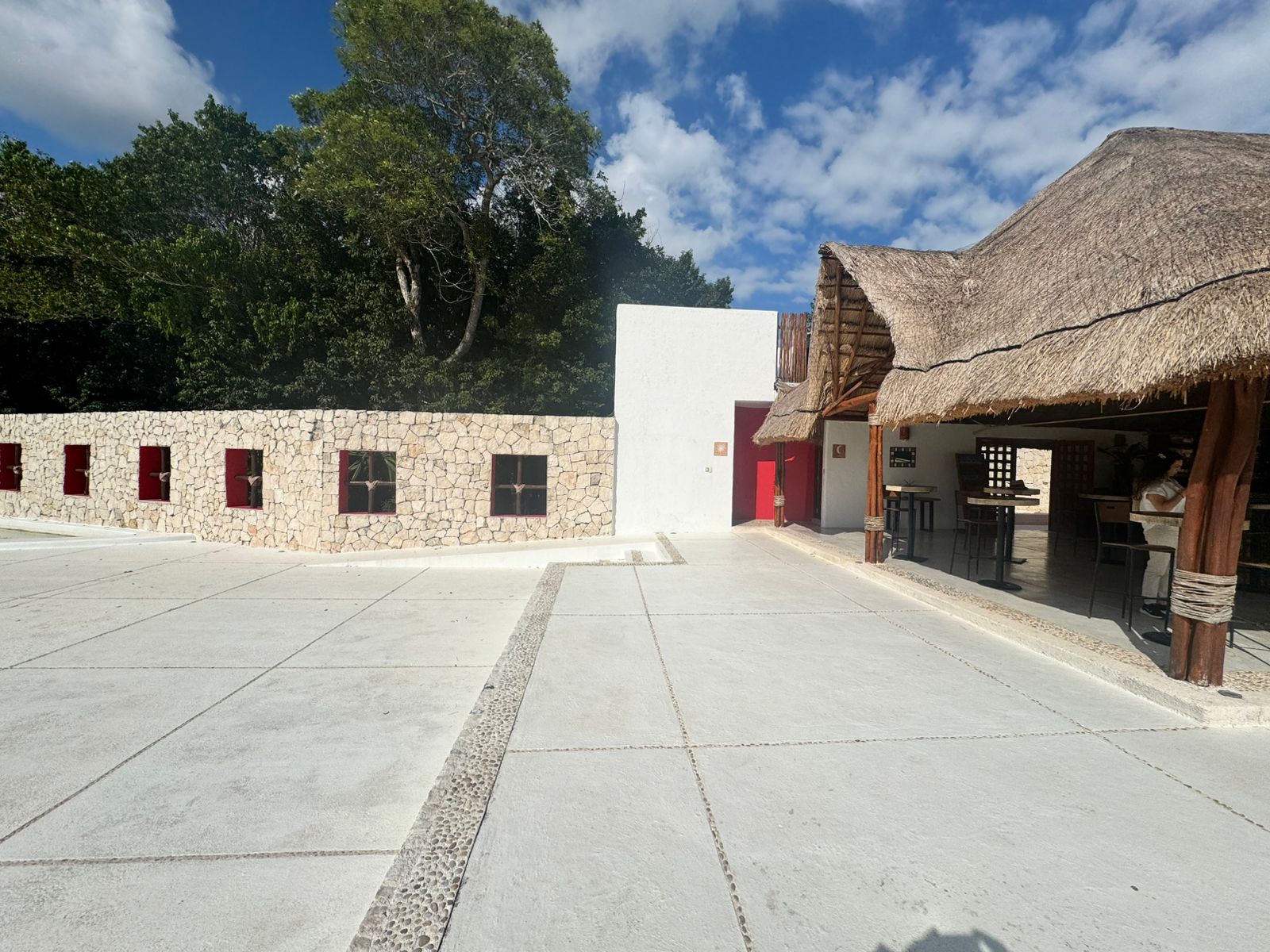 Copia de palapas